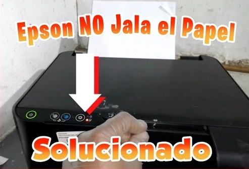 KIT DE GOMAS DE ALIMENTACION Y BASE PARA IMPRESORAS EPSON L110 L210 L355 L555 ETC.